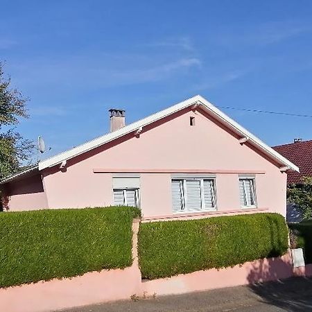 Superbe Maison 3 Chambres 1 Etage Et Sous-Sol, Avec Jardin Et Terrasse Altkirch Eksteriør billede