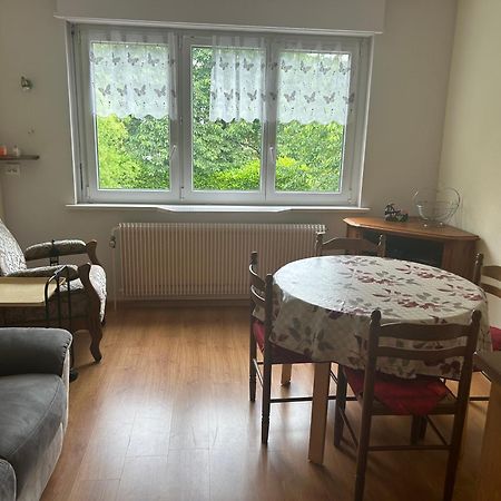 Superbe Maison 3 Chambres 1 Etage Et Sous-Sol, Avec Jardin Et Terrasse Altkirch Eksteriør billede