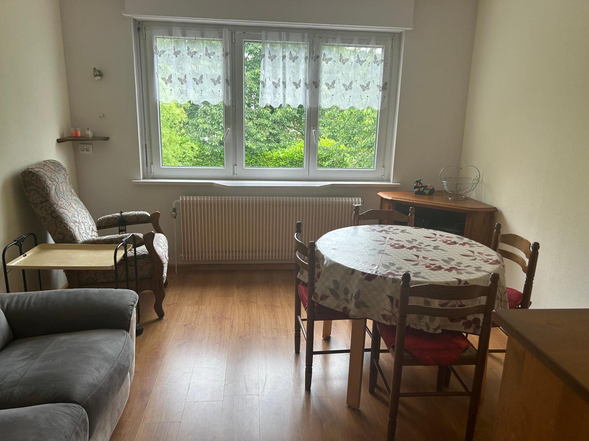 Superbe Maison 3 Chambres 1 Etage Et Sous-Sol, Avec Jardin Et Terrasse Altkirch Eksteriør billede